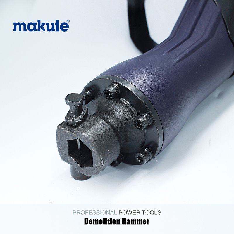 2200W Hardware Breaker Electric Rotary Demolition Hammer (DH65)